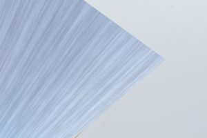 Sapporo Pine